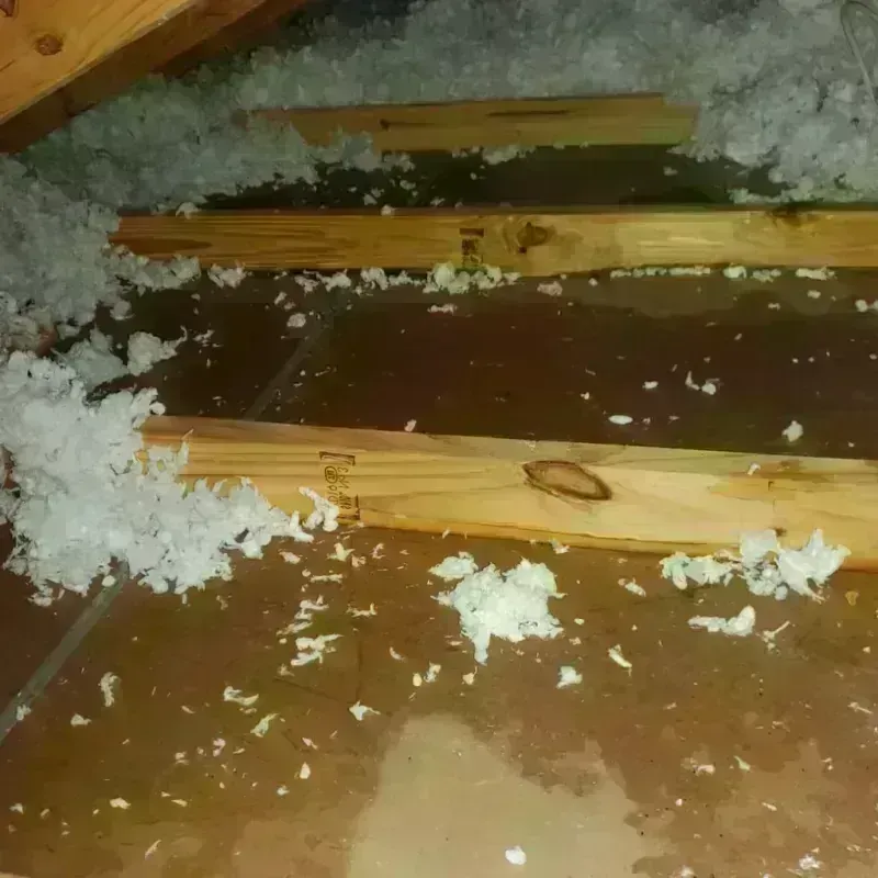 Attic Water Damage in Plainville, KS